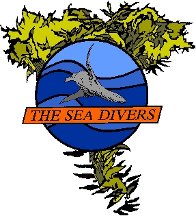 THE SEA DIVERS